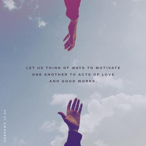 c6a75572-4d81-4fce-885d-8b05ff737176