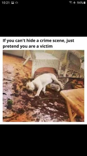 2b26d339-3456-495b-bd2f-8dcc7a13c109