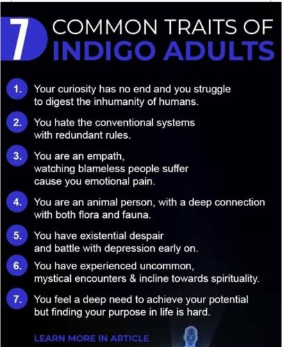 indio adult