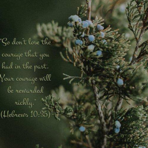 bd499912-f107-4181-a35f-f525554b3a7d