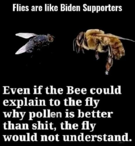 42656c14-b8f1-4686-b90f-ec709d62520c