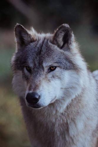 tumblr_d222d1f033806c7b7f5c08e2453adfc9_48f972c9_640