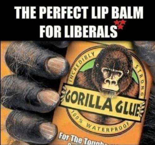 b295ed3e-0c6b-4884-bada-90018484dc2b