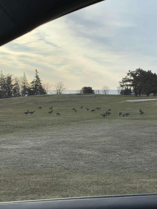 f4e6bc91-07fa-44d2-b88d-f8560dfa00fa