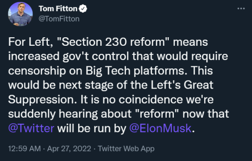 Big Tech 1