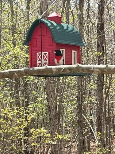 fd8dba6e-2719-4985-82d8-000e13843f7f