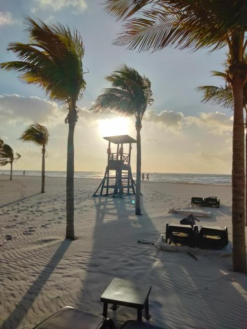 214b61d5-2b9d-498b-9f44-213c6618f7e4