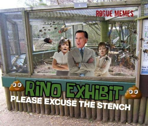 c5cffbcd-3ca2-41cd-8896-133f7ada80fe