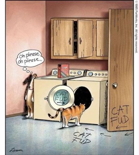 278013851_5172407239468909_7830587766955768133_n