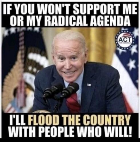 8b8b2d33-d1e6-4581-a402-807b9f3b2164