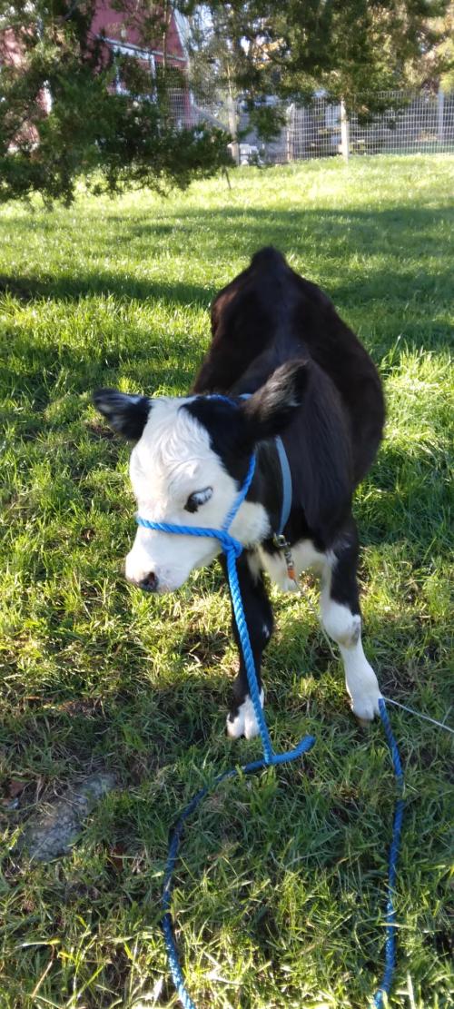 898451bb-6e04-4ced-b10a-bce014111bbc