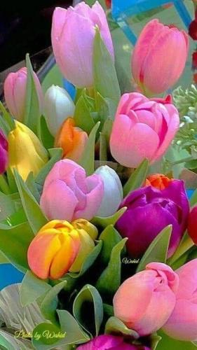 10:15:38 GMT-0500 (CDT)