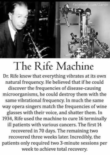 65353741-81ba-4613-8138-b793796a01a1