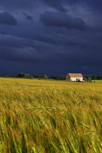 09:29:57 GMT-0500 (CDT)