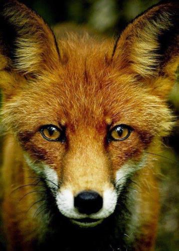 13083123_10204577676962068_1086046220268347217_n