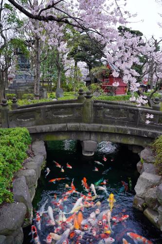 277675442_1692522801095406_7537095895486828225_n