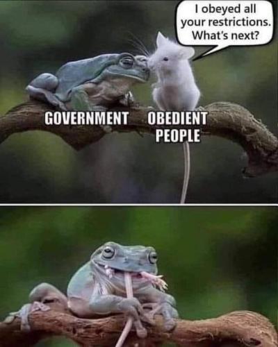 B4AC033A-CC68-42C0-91E4-F51D66FBBAAC