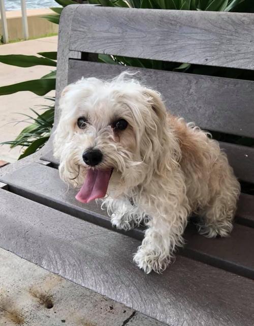 fd10a415-9fd2-4e0d-b10d-ad95af6614d5