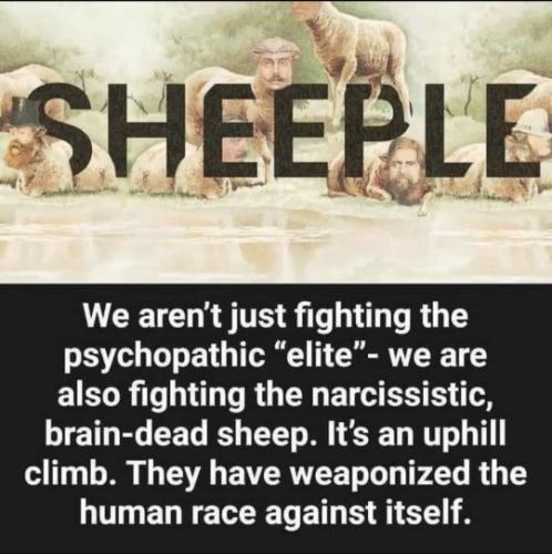 90mimb_25d2d63d6c5bf5da844d2ea30b3feb2d_2174b211_540