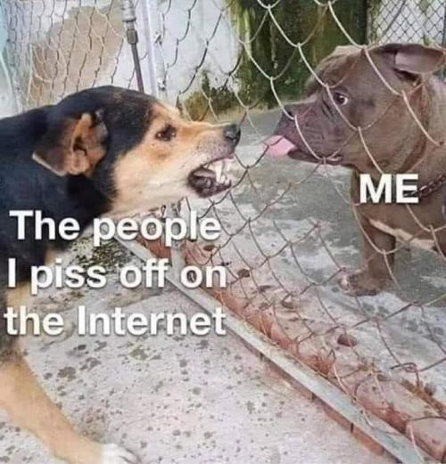 6eaa80cb-2fef-447e-885c-c123d26a9c52