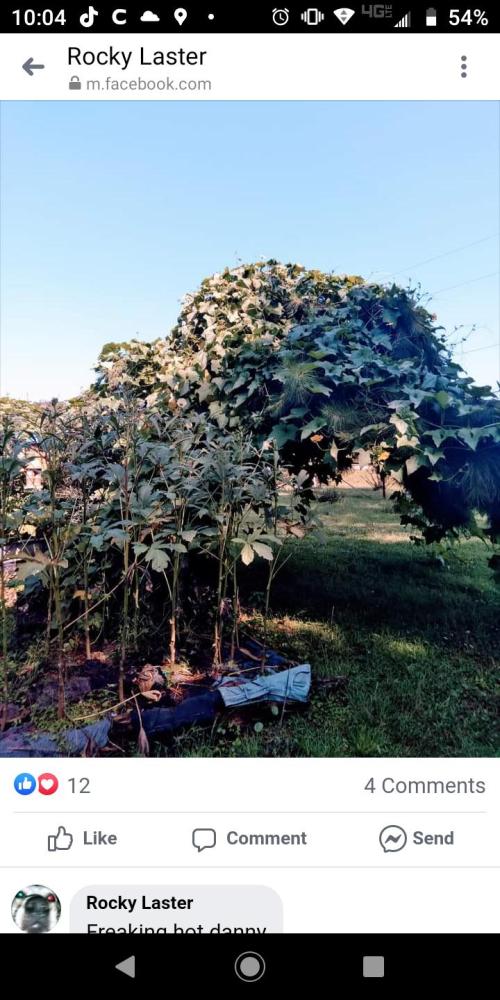 f5740d84-b388-407e-982c-05e9dd88dfbb