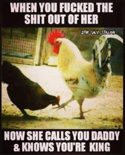 d57ce26c-3564-423e-86e6-9b698c4b37f9