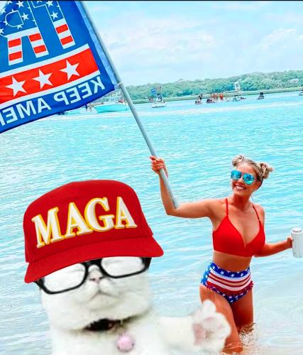 19:38:34 GMT-0400 (EDT)