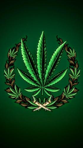 57b5fa3b-c9e3-42c5-b7fc-33ef4c41129d