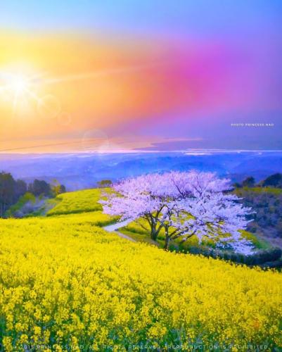 Colorful naturescape