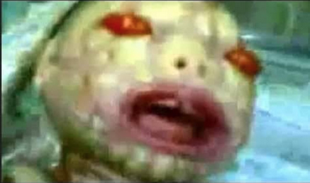 Screen Shot 2021-07-27 at 12.48.25 PM