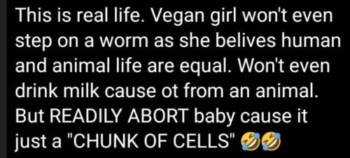 bb785b32-99da-46d8-8b15-f0b7da805c8e