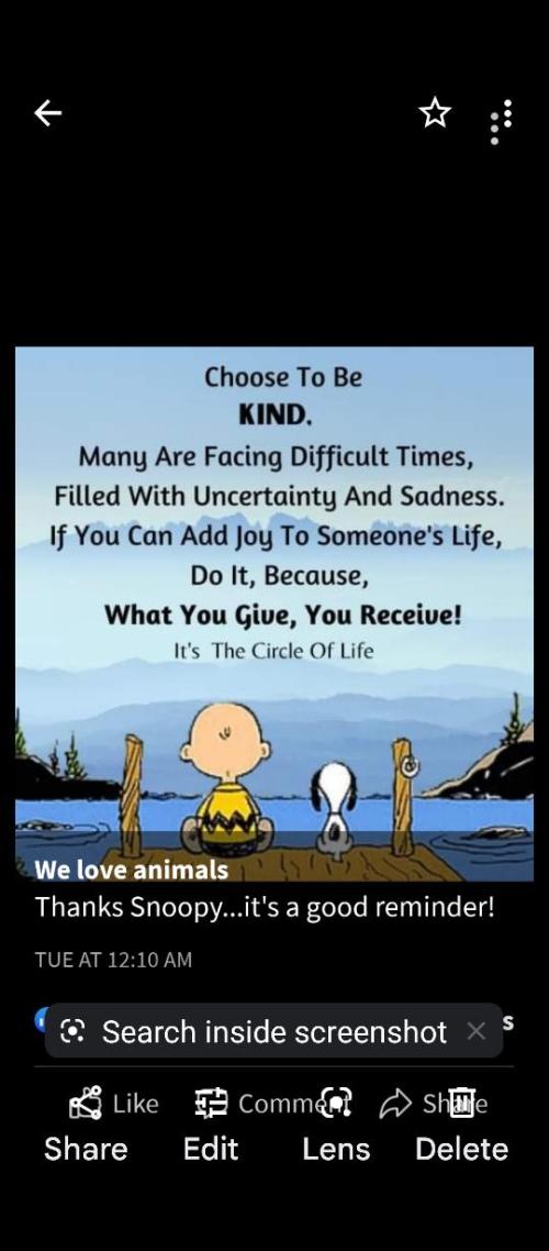 8c027fd6-9300-47af-99ba-73cd17bc8a4d