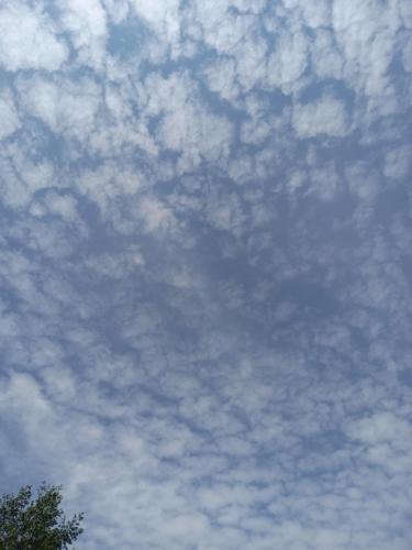 19e1f429-0776-4120-a16d-ecdbaa1adf06