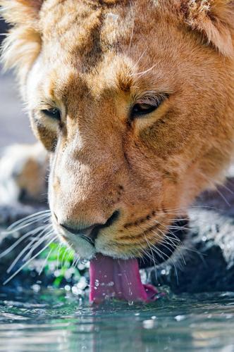 tumblr_602f177393e6987fd5dc5e4c7bd0aee1_6ab0e108_500