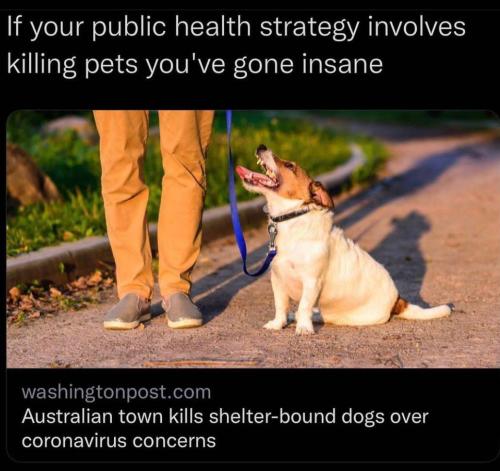 photo_2022-04-06_14-49-06