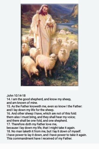 4c54041f-ad6c-422d-acce-76e46e30b4e6