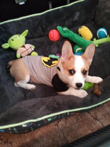 c89e3c61-371a-48db-a721-c00d66cbcd54