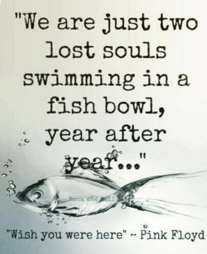 f0f203e1-99a5-4f7d-8a45-35e1d228541b