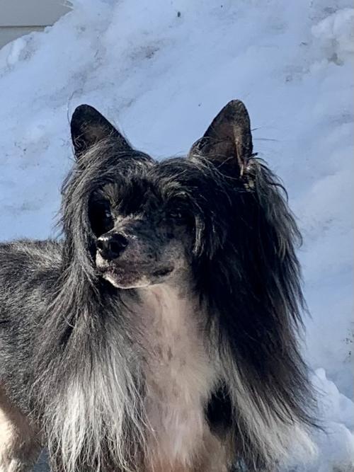 CE109E03-396B-4782-868E-8151A630C5ED