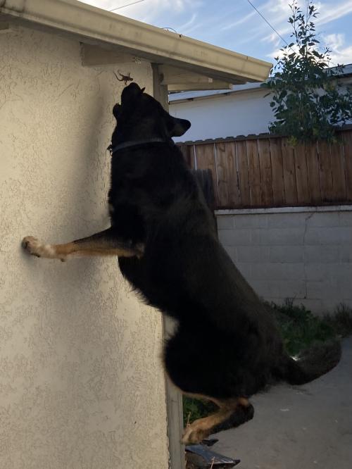 DE46C9EA-2355-4C0A-9B13-BB2B932E752D