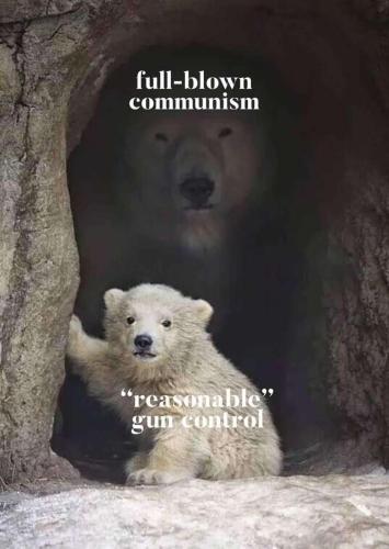 e6a6463d-6396-48df-ad4e-216ed4024602