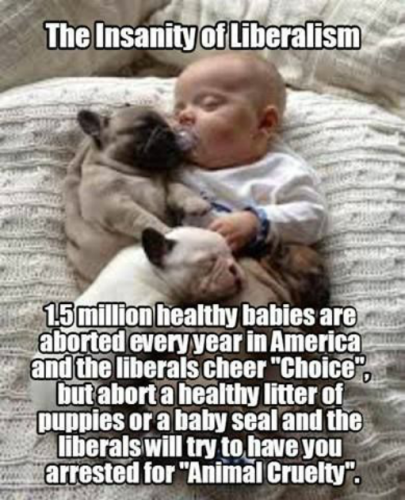 lib insanity abort f