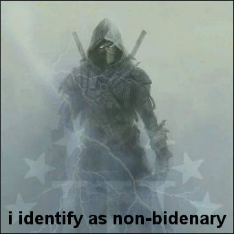 i identify as non-bidenary