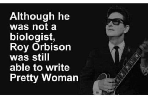 0ac031e2-3e31-4848-94cf-34d9386fe1d4