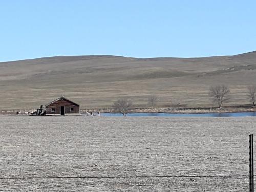 d213b8a1-c002-4821-9dc9-823962760187