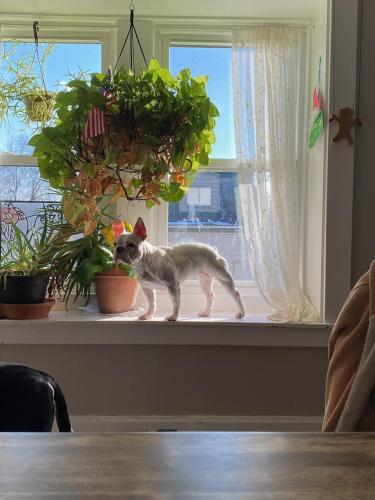 666a2300-9d6c-4dac-8487-c53e088ee7fb