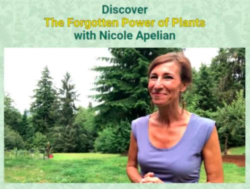 8a6f6def-d75a-46fd-94d8-5754db90ac3e