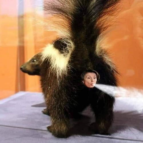 pelosi skunk