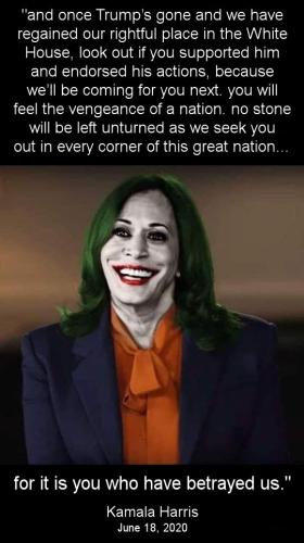 kamala harris189