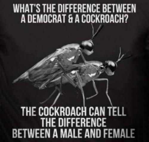 democrats506
